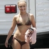 Hayden Panettiere Is Looking for Celebrity Lesbian Love